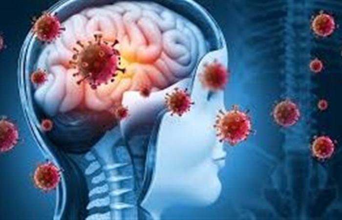 لا صحة للتفشي.. الحقيقة الكاملة وراء استقرار الوضع الوبائي للسحائي في مصر