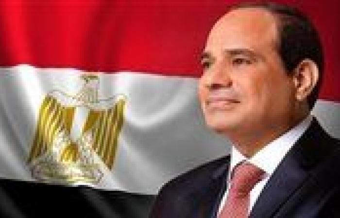 صناعة الشيوخ: الرئيس السيسي يوجه بمواصلة الإصلاح الاقتصادي وتحفيز القطاع الخاص لتعزيز النمو المستدام