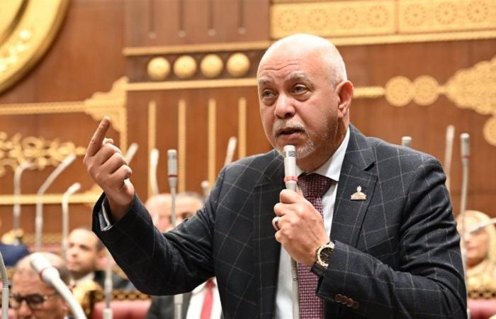 الجندي: قرارات الحكومة بزيادة الأجور تعزز الحماية الاجتماعية وتؤكد انحياز الدولة للمواطن