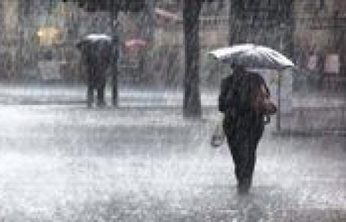 الأرصاد تكشف مفاجأة لـ تحيا مصر عن طقس الساعات المقبلة وتطلق تحذير عاجل