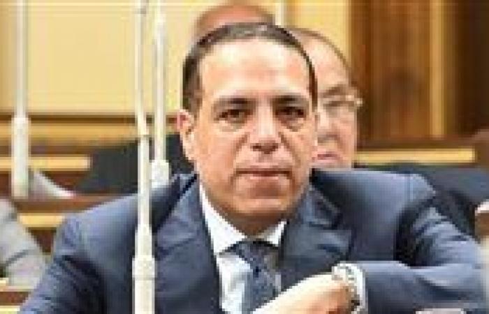 الصافي عبد العال: توجيهات الرئيس السيسي للحكومة تعكس رؤية استراتيجية لتعزيز الاستقرار الاقتصادي ودعم المواطن