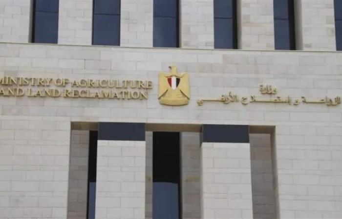 "بحوث الصحراء" ينظم برنامجًا تدريبيًا لدعم مربي الأغنام والماعز بشمال سيناء