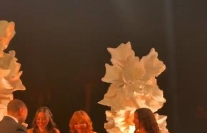 لميس الحديدي بتقدملهم الشبكة وإلهام شاهين أبرز الحضور.. لقطات من خطوبة نجل عمرو أديب| صور