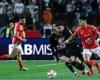 القنوات
      الناقلة
      لمباراة
      الأهلي
      وإيجل
      نوار
      في
      دوري
      أبطال
      إفريقيا