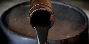 النفط
      يخسر
      6%
      للأسبوع
      الثاني|
      برنت
      عند
      76.4
      دولار
      وتراجع
      عالمي
      بفعل
      التوترات
      التجارية