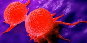 اكتشاف
      قد
      يحدث
      ثورة
      في
      علاج
      السرطان..
      "الدماغ
      الثاني"
      في
      جهازنا
      الهضمي
      يحفز
      نمو
      الأورام