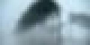 رياح قوية متوقعة على عدد من ولايات الوطن يومي الجمعة والسبت