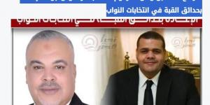 تأكيدًا لـ تحيا مصر.. الهيئة الوطنية تُعلن تصعيد المرشح سيد عيد لجولة الإعادة بانتخابات النواب في دائرة حدائق القبة
