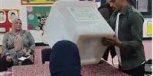 انتهاء اليوم الثاني من انتخابات مجلس النواب للدوائر الـ 30 الملغاة وبدء فرز الأصوات