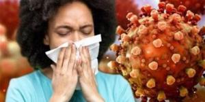 ما الذي تعرفه عن فيروس نيباه بعد عودة ظهوره في الهند؟