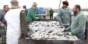 محافظ الشرقية: مزرعة العباسة نموذج رائد للإستثمار السمكي بطاقة إنتاجية تصل لـ٣.٥ طن للفدان