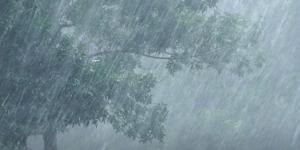 استمرار تساقط الأمطار عبر عدة ولايات إلى غاية الخميس