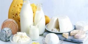 أسعار الألبان ومشتقاتها في أسواق محافظة الغربية اليوم الأربعاء 1 إبريل 2026