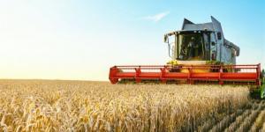 مرور الجيزة يشن حملة موسعة على الطرق الزراعية ويضبط 77 مركبة مخالفة