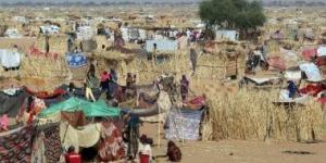 صحة السودان تعلن زيادة معدلات الإصابة بحمى الضنك في 7 ولايات