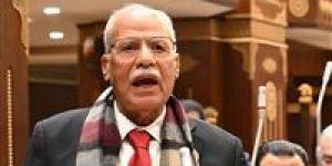 حزب العربي الناصري: توجيهات الرئيس السيسي بزيادة الأجور ورفع سعر القمح ترسيخ للعدالة الاجتماعية