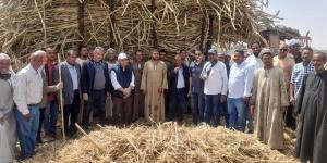 جولات ميدانية لقيادات البحوث الزراعية بالأقصر لتعزيز الأمن الغذائي