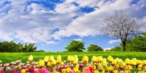 موعد انتهاء فصل الشتاء 2026 في مصر وبداية فصل الربيع