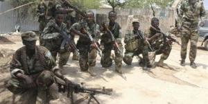 الصومال: الجيش والشرطة ينفذان عملية مشتركة في ضواحي مدينة برواي