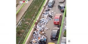 مخالفة صريحة في وضح النهار.. تروسيكل يفرغ القمامة على كوبري الجامعة (فيديو)