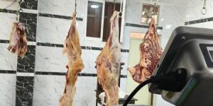 ضبط سلخانة غير مرخصة في الغربية