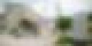 لضمان استقرار التموين.. إلزام المؤسسات الصيدلانية بتسويق مخزوناتها