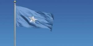 الصومال يتولى مقعد مجلس السلم والأمن الأفريقي للمرة الأولى في تاريخه