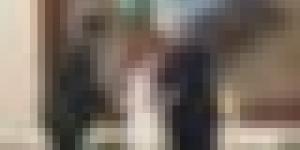 رئيس الجمهورية يستقبل الوزير الأول الموريتاني والوفد المرافق له