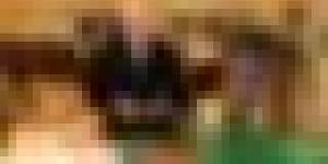 رئيس الجمهورية يتلقى التعازي من قادة ورؤساء دول في وفاة الرئيس الأسبق زروال