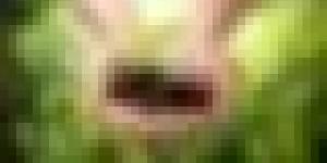 وزارة الفلاحة تطلق قرض المورد لتمويل اقتناء منتجات الحماية النباتية، دعمًا لموسم الحبوب 2025-2026