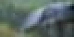 نشرية خاصة: أمطار رعدية غزيرة تتعدى 60 ملم على هذه الولايات