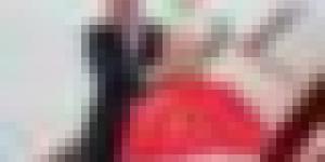 البابا ليون الرابع عشر: الشعب الجزائري لم تهزمه المحن لأنه متجذر في قيم التضامن وتقبل الآخر