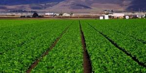 أمن غذائي وتمكين زراعي.. التحالف الوطني يطلق مبادرات لدعم صغار المزارعين بالريف