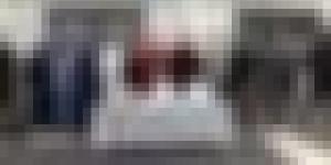 من بينهم 5 نساء.. شرطة العاصمة توقف 11 شخصا وتضبط 11 جواز سفر مزوّر