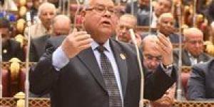 الشهابي لـ تحيا مصر: إلغاء "بيت الطاعة" تحديث ضروري للحفاظ على كرامة المرأة