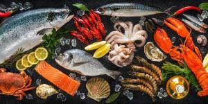 أسعار الأسماك اليوم الأربعاء 29 أبريل 2026 في الدقهلية