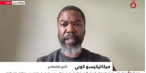 خبير اقتصادي: التمويل والبنية التحتية أبرز عقبات مشاريع الطاقة في إفريقيا
