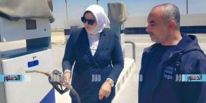 حملة تموينية مكبرة تضبط كميات من الزيوت المخالفة والسولار وتحرر محاضر بالعلمين والحمام