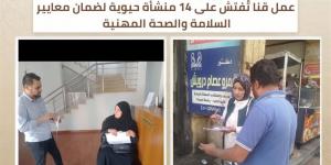 حملات تفتيشية على 14 منشأة حيوية لضمان معايير السلامة المهنية بقنا