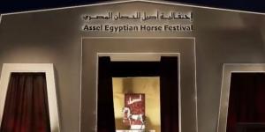 انطلاق النسخة الثانية من بطولة "أصيل" لجمال الخيول العربية المصرية