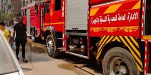 بلاغ من فتاة يُحرك الأجهزة الأمنية في نجع حمادي لإنقاذ قطة عالقة أعلى كوبري