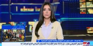 أستاذ علوم سياسية: الاتصال المصري الإماراتي جاء في توقيت إقليمي بالغ الحساسية
