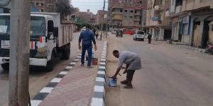 محافظ الغربية يتابع أعمال الدهانات ورفع كفاءة طريق طنطا – شوبر