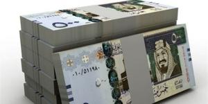 سعر الريال السعودي اليوم الأربعاء 6 مايو 2026 في بنوك مصر