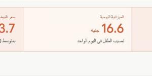 سجــــون بـلا قضبــان.. رحلة الأمهات من جحيم البيوت إلى مقصلة الإجراءات