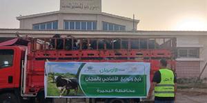 "تضامن البحيرة": خطة عمل لذبح وتوزيع آلاف الأضاحي على الأسر الأولى بالرعاية