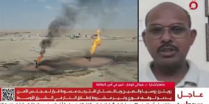 خبير: الدول الآسيوية متضررة اقتصاديًا بصورة كبيرة بعد إغلاق مضيق هرمز