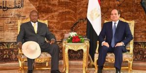 خبيرة: مصر ترسخ وجودها التنموي في إفريقيا