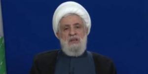 نعيم قاسم يؤكد أن لبنان يواجه عدوا إسرائيليا يطمح للتوسع