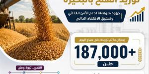 تموين البحيرة: ارتفاع مستمر في معدلات توريد القمح وتجاوز الكميات الموردة 187 ألف طن